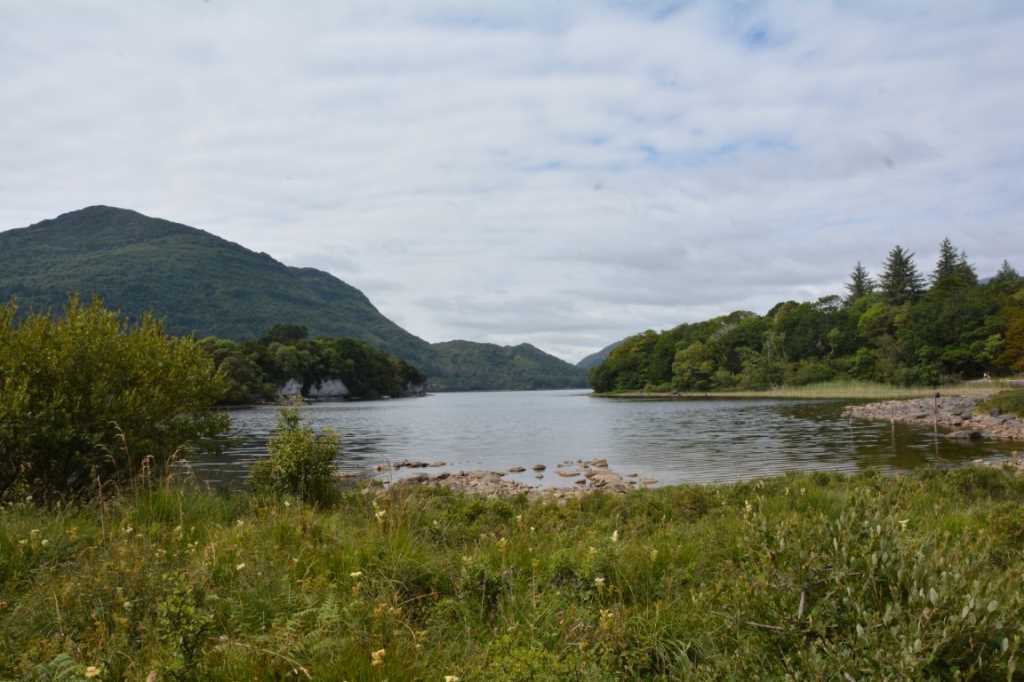 DSC_5216Mittel_.JPG